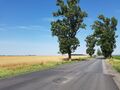 roumanie 004